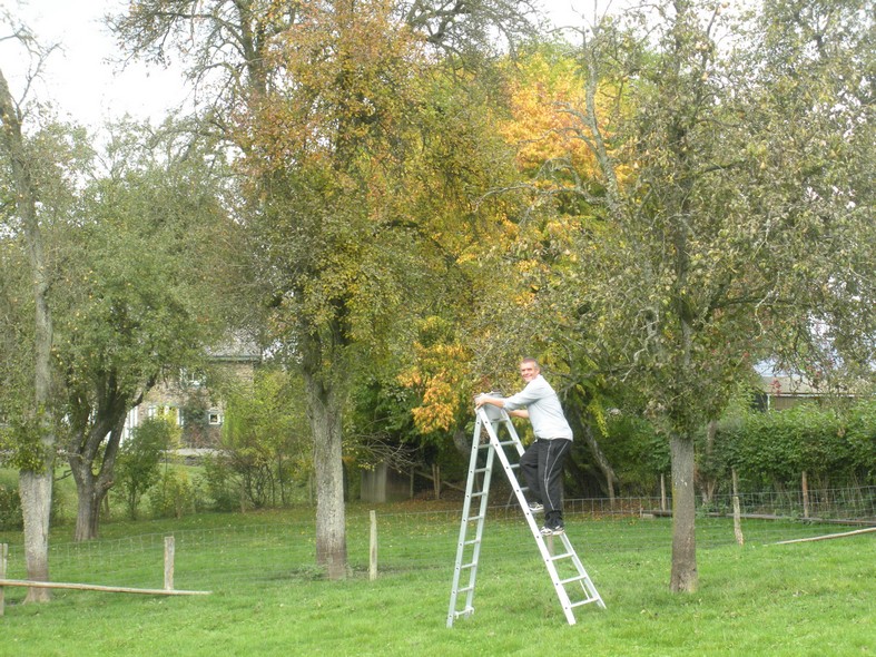 B13_04.jpg