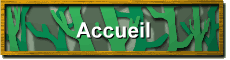 Accueil