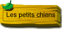 Les petits chiens